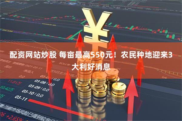 配资网站炒股 每亩最高550元！农民种地迎来3大利好消息