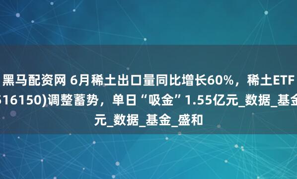 黑马配资网 6月稀土出口量同比增长60%，稀土ETF嘉实(516150)调整蓄势，单日“吸金”1.55亿元_数据_基金_盛和