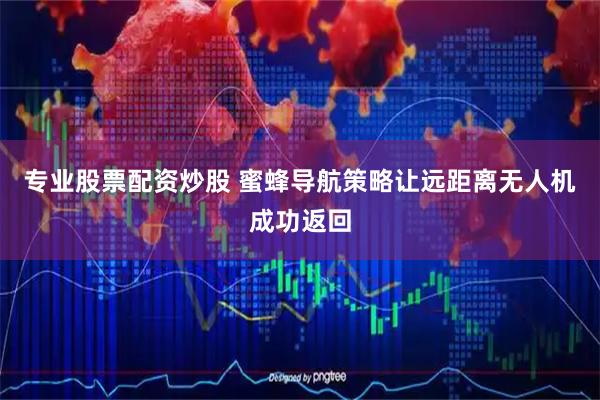 专业股票配资炒股 蜜蜂导航策略让远距离无人机成功返回